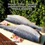 Salmon frozen bone-in Norway / Chile / Tasmania STEAK 3/4" 2cm (price/pack 500gr 2-3pcs)